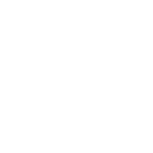 Checklist Icon